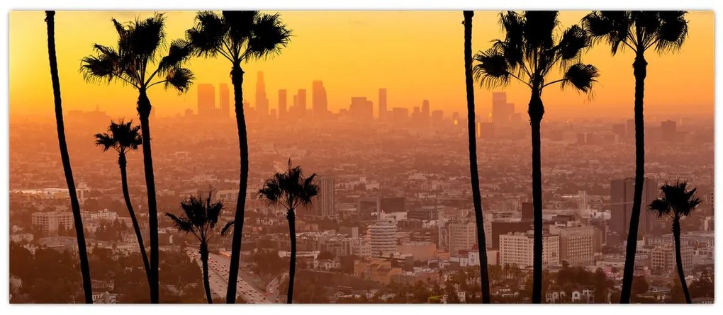 Obraz - Panorama Los Angeles (120x50 cm)