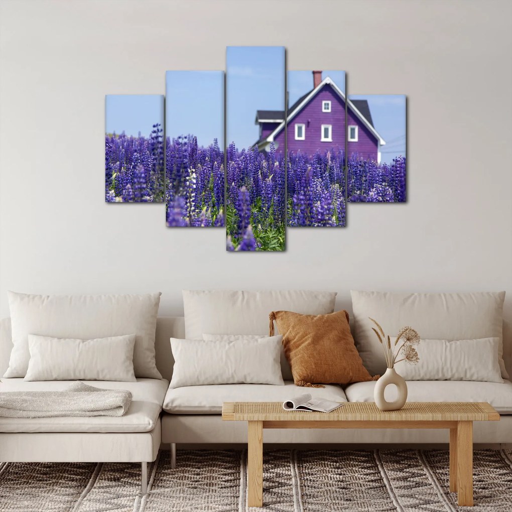 Obraz levanduľového poľa (150x105 cm)