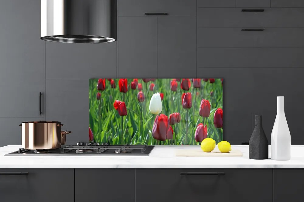 Sklenený obklad Do kuchyne Tulipány kvety príroda 120x60 cm