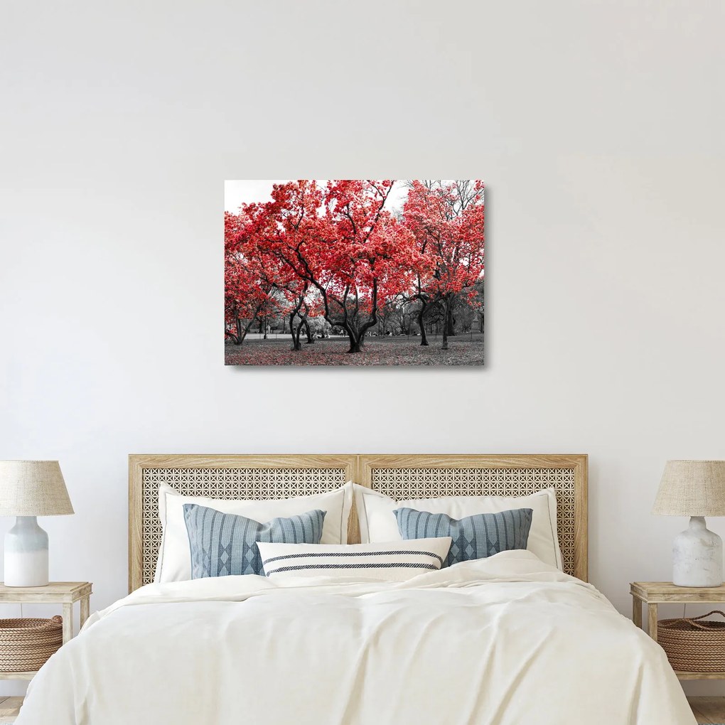 Sklenený obraz - Červené stromy, Central Park, New York (70x50 cm)