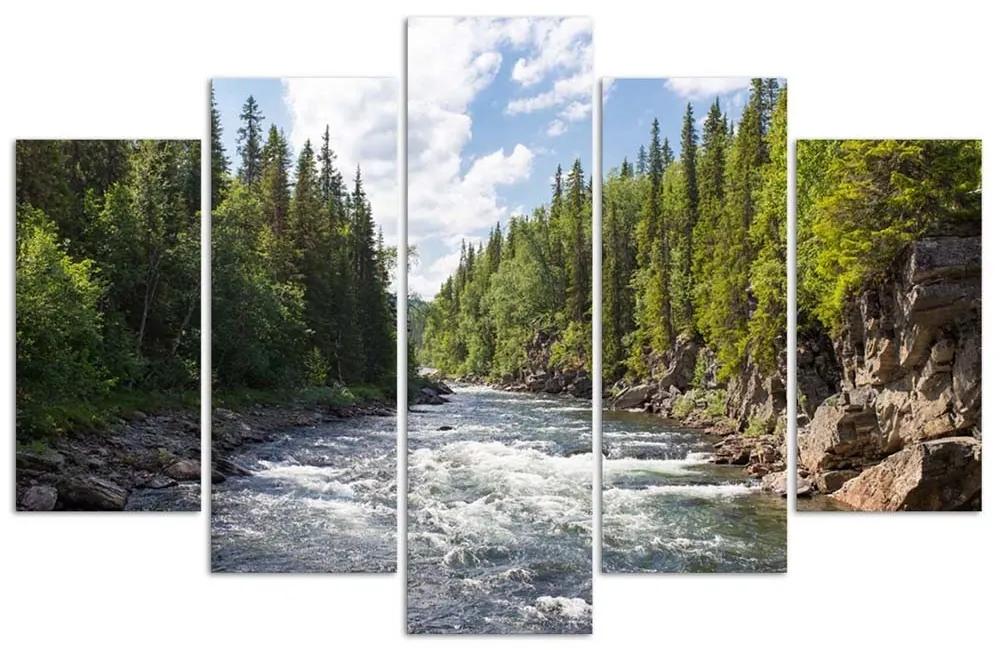 Obraz na plátně pětidílný Forest Green River Příroda - 100x70 cm