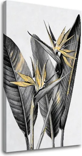 Obraz na plátne RASTLINY 003