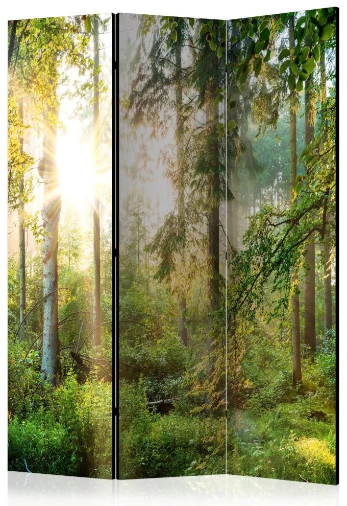 Artgeist Paraván - Untamed Nature [Room Dividers]