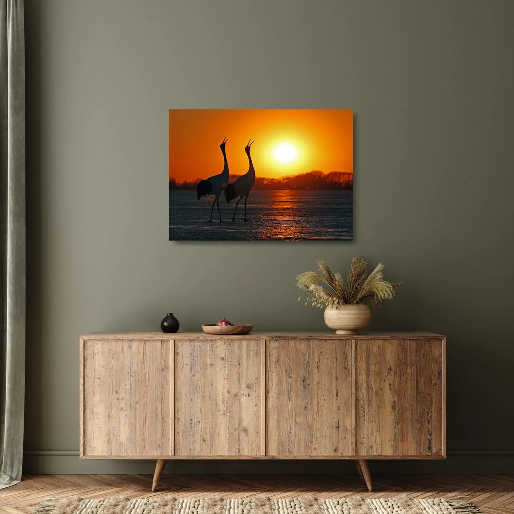 Sklenený obraz vtákov pri západe slnka (70x50 cm)