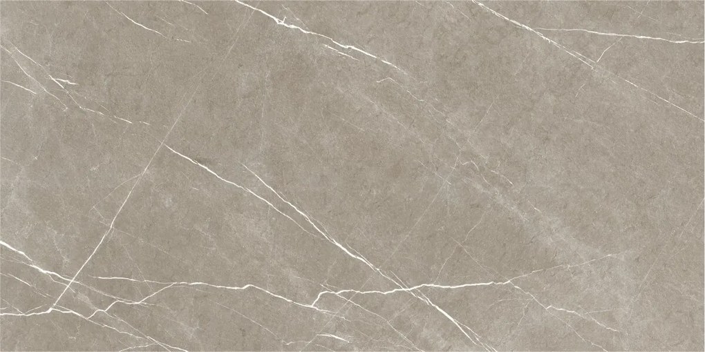 Dlažba Eternal Taupe Natural 60x120 R
