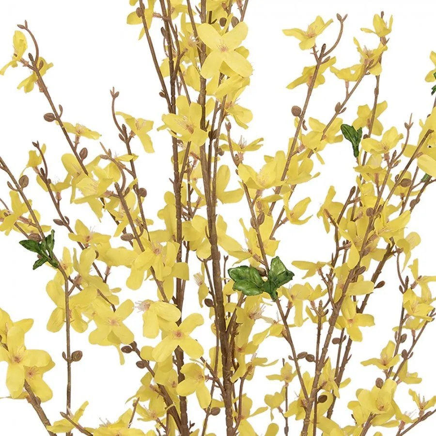 Dekoračný krík so žltými kvetmi zlatou Forsythia - 20*20*125 cm