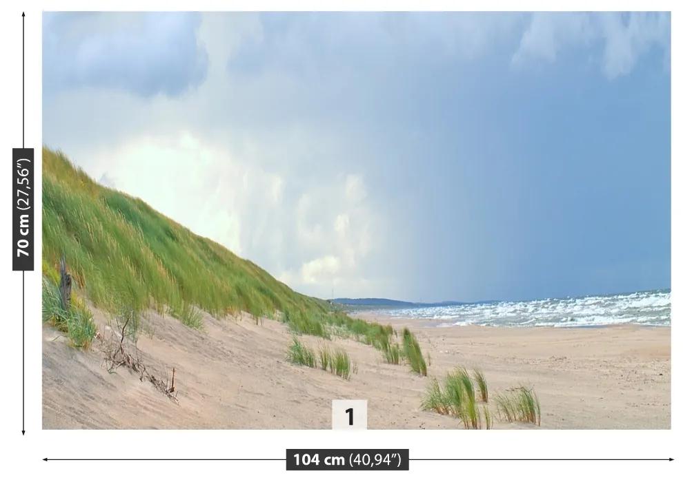 Fototapeta Vliesová Pobrežie baltského mora 104x70 cm
