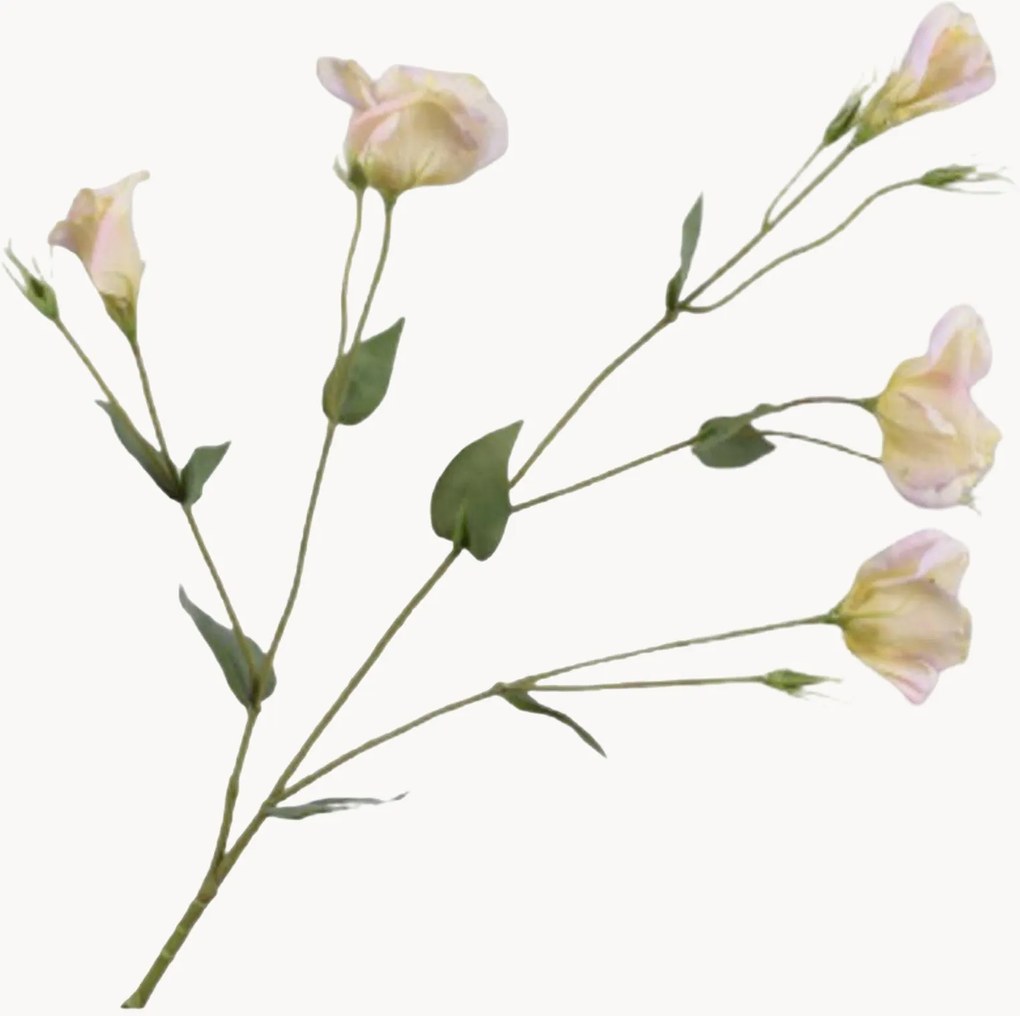 Rastlinné dekorácie Lisianthus, 2 ks