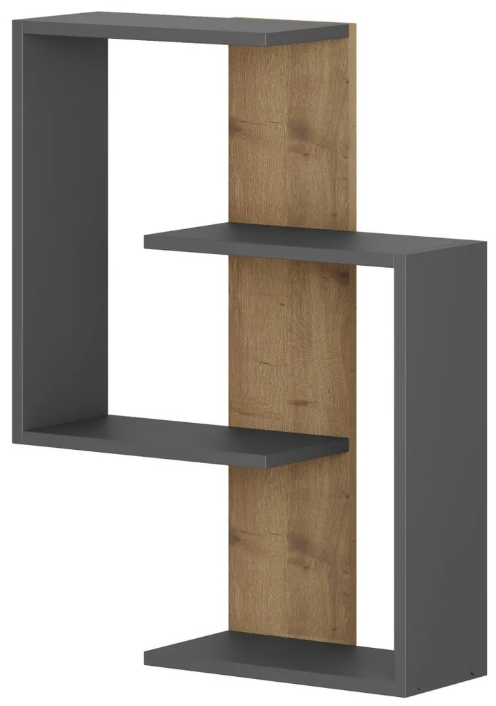 Moderná nástenná polička Asir dub wotan/šedá