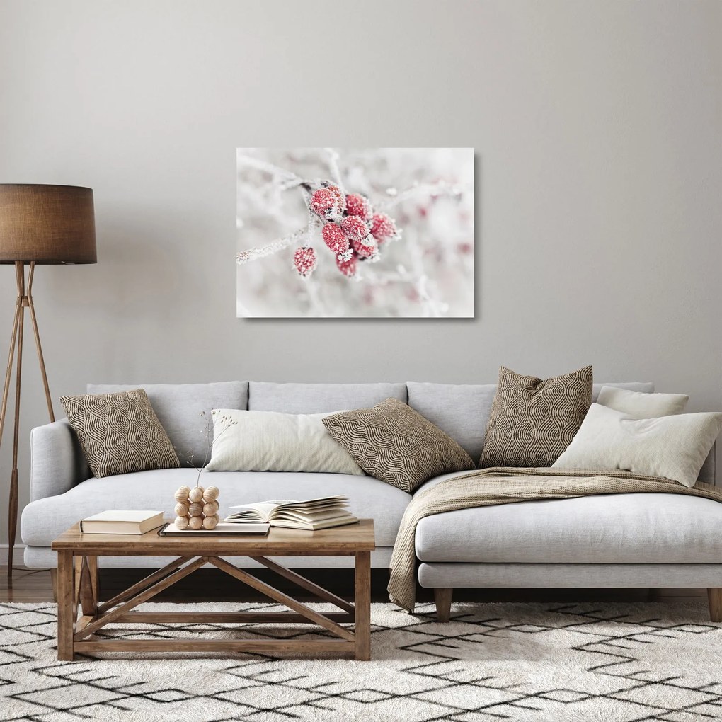 Sklenený obraz - Zamrznuté plody (70x50 cm)