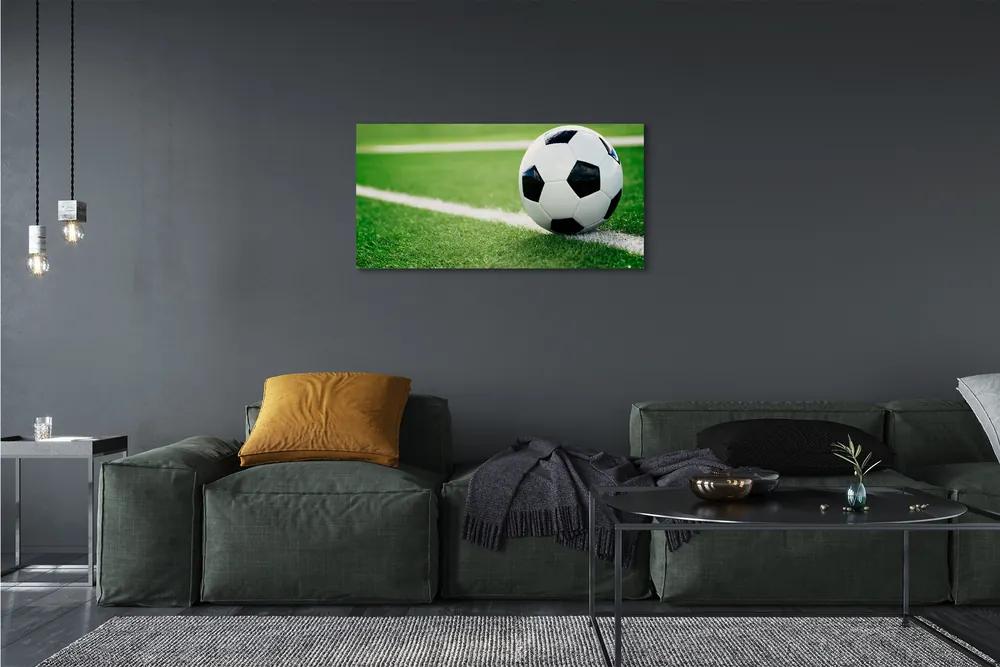 Obraz canvas futbalový trávnik 120x60 cm