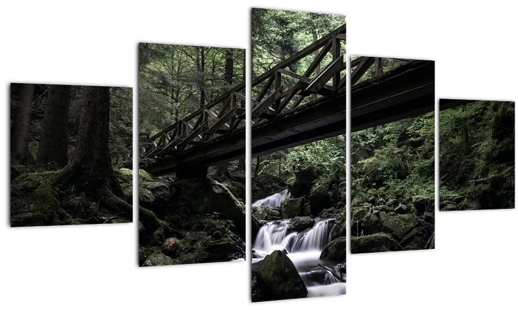 Obraz z čierneho lesa (125x70 cm), 40 ďalších rozmerov