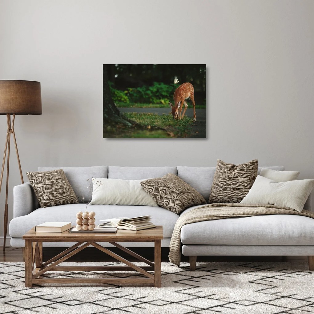 Sklenený obraz srnky (70x50 cm)