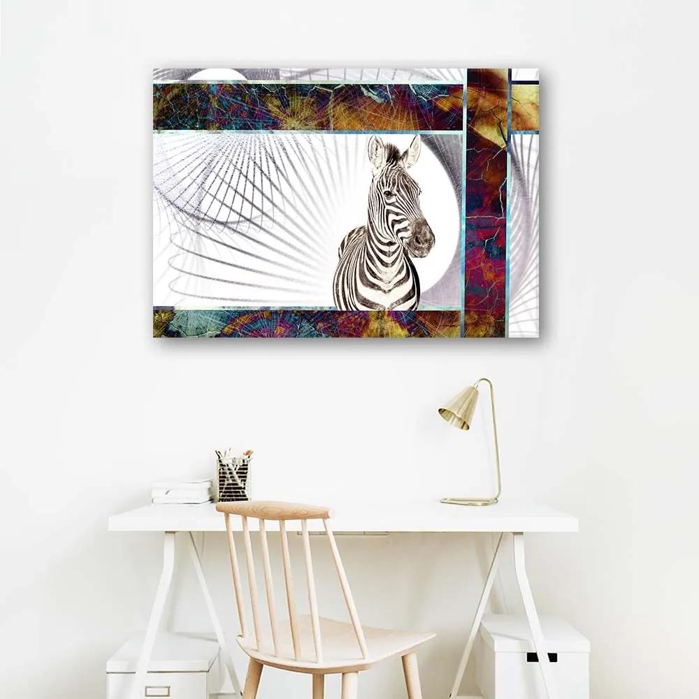 Obraz na plátně Zvířata zebry - 120x80 cm