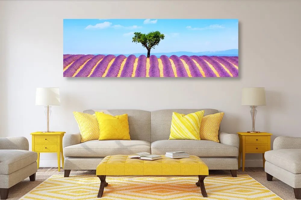 Obraz provensálske levanduľové pole Varianta: 120x40