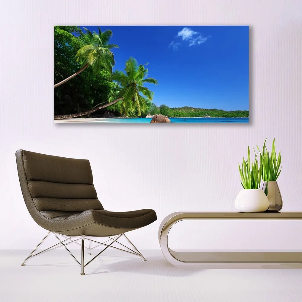Obraz plexi Palma stromy pláž krajina 120x60 cm