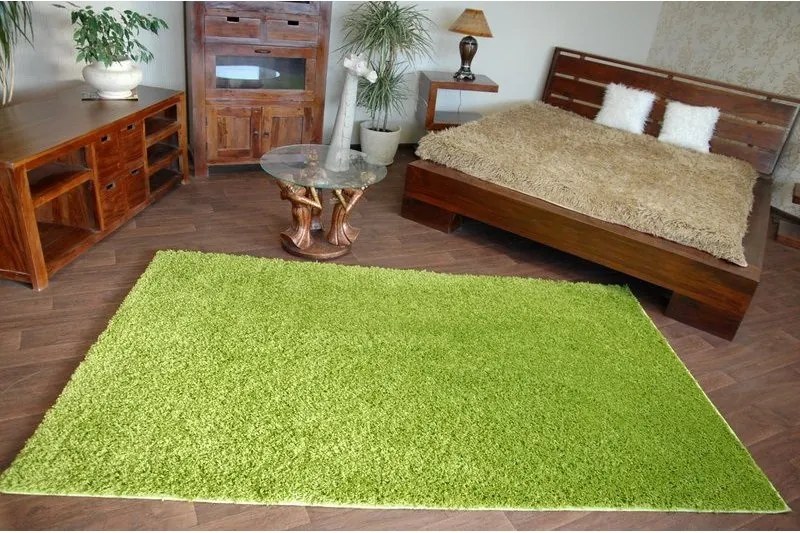 Kusový koberec SHAGGY Izebelie 5 cm zelený