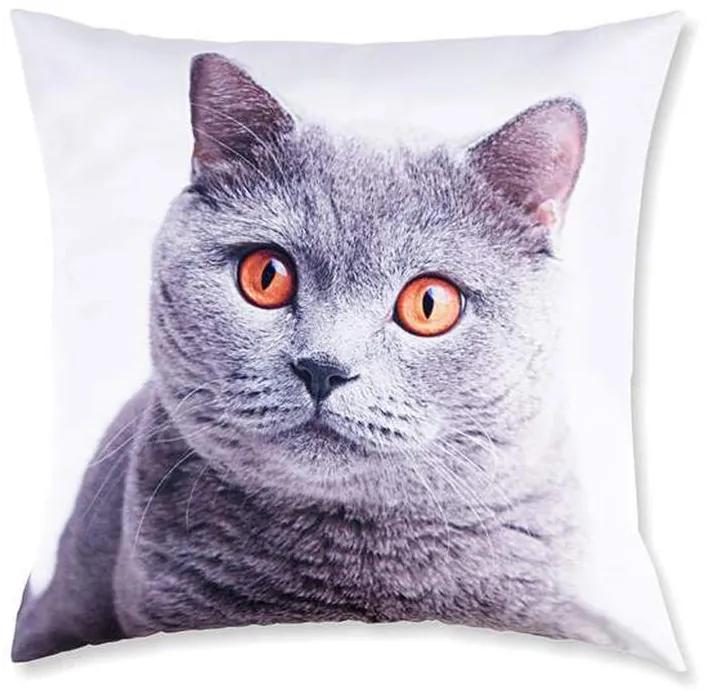 Dekoratívna obliečka na vankúšik Britská mačka