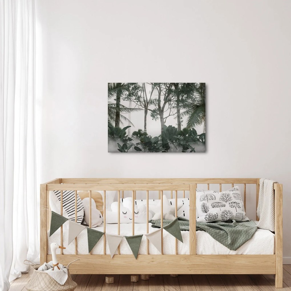 Obraz - Jungle v rannej hmle (70x50 cm)