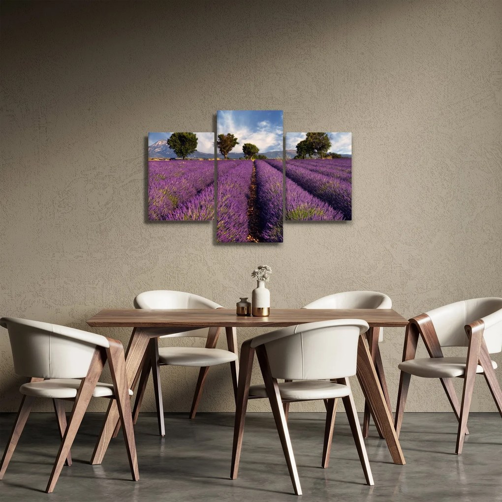 Obraz - Levanduľové pole a hory (90x60 cm)