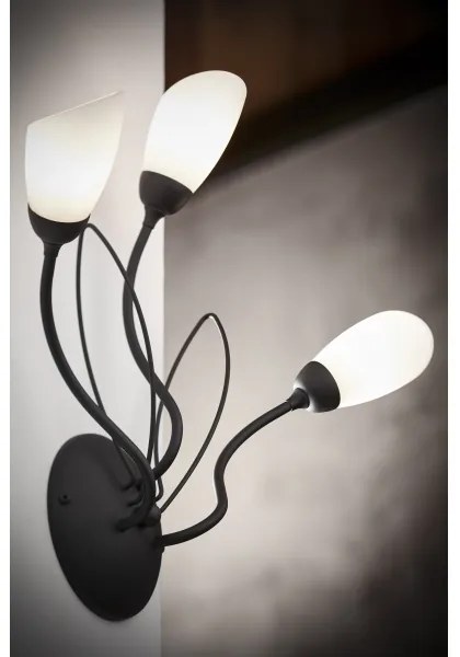 Jupiter 2059 - Nástenné svietidlo GLORIOSA 3xG9/14W/230V čierna