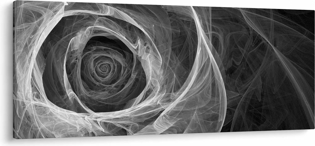Obraz - Abstraktné ruže čiernobiela (120x50 cm)