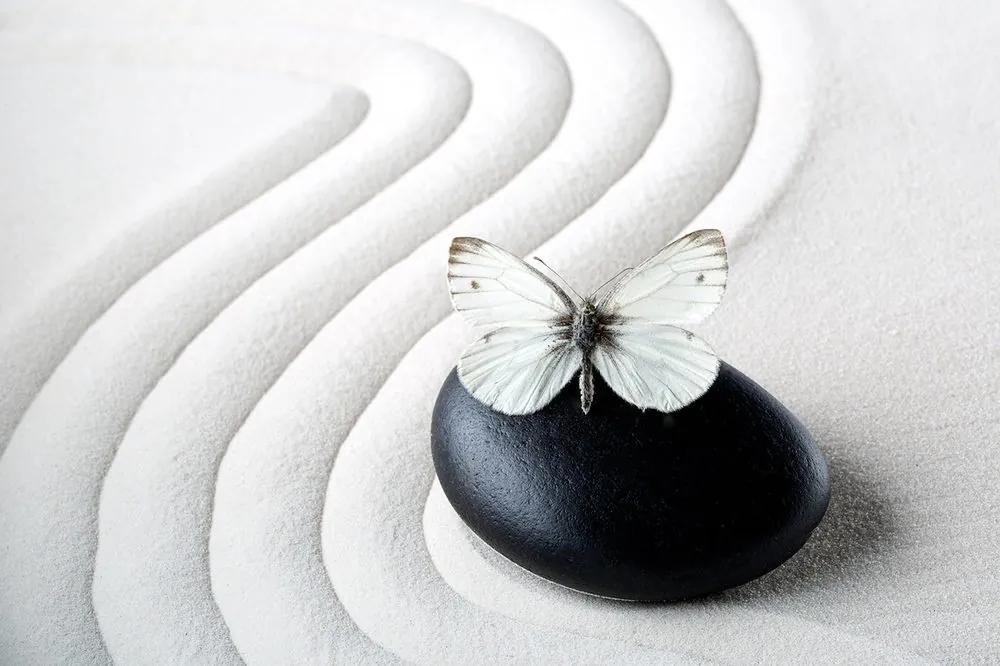 Tapeta Zen kameň s motýľom - 150x100