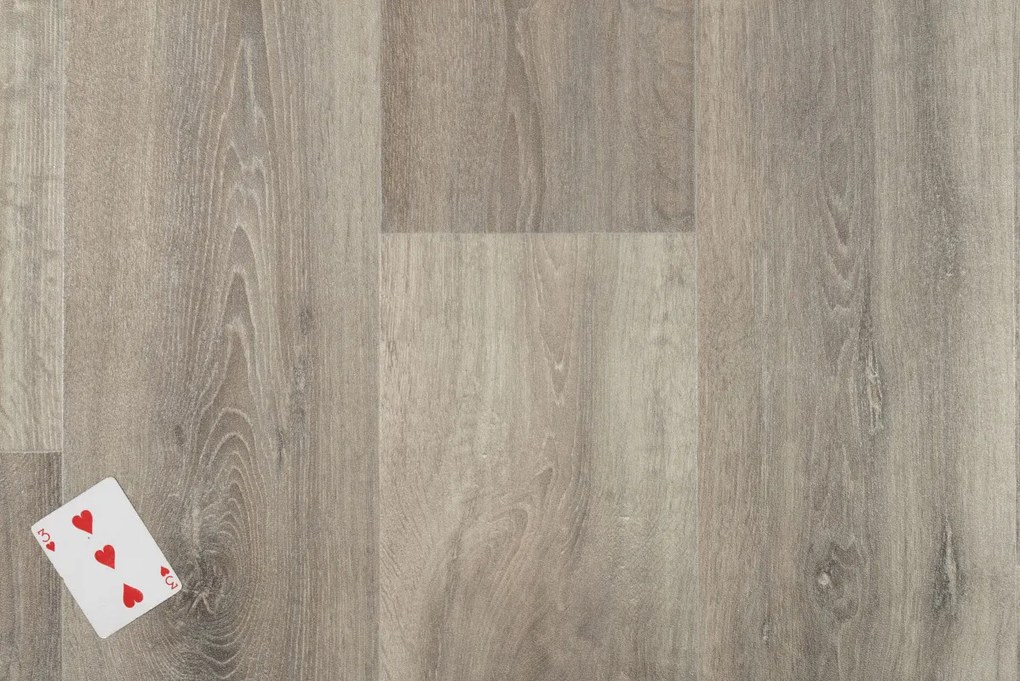 Beaulieu International Group, PVC podlaha - lino Livitex 2604, na mieru, šíře 3m,4m, šedá, filc, chodba / predsieň