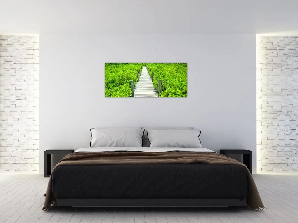 Obraz - drevený chodník (120x50 cm)