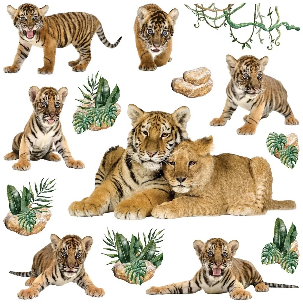 Samolepiaca dekorácia Tigers, 30 x 30 cm