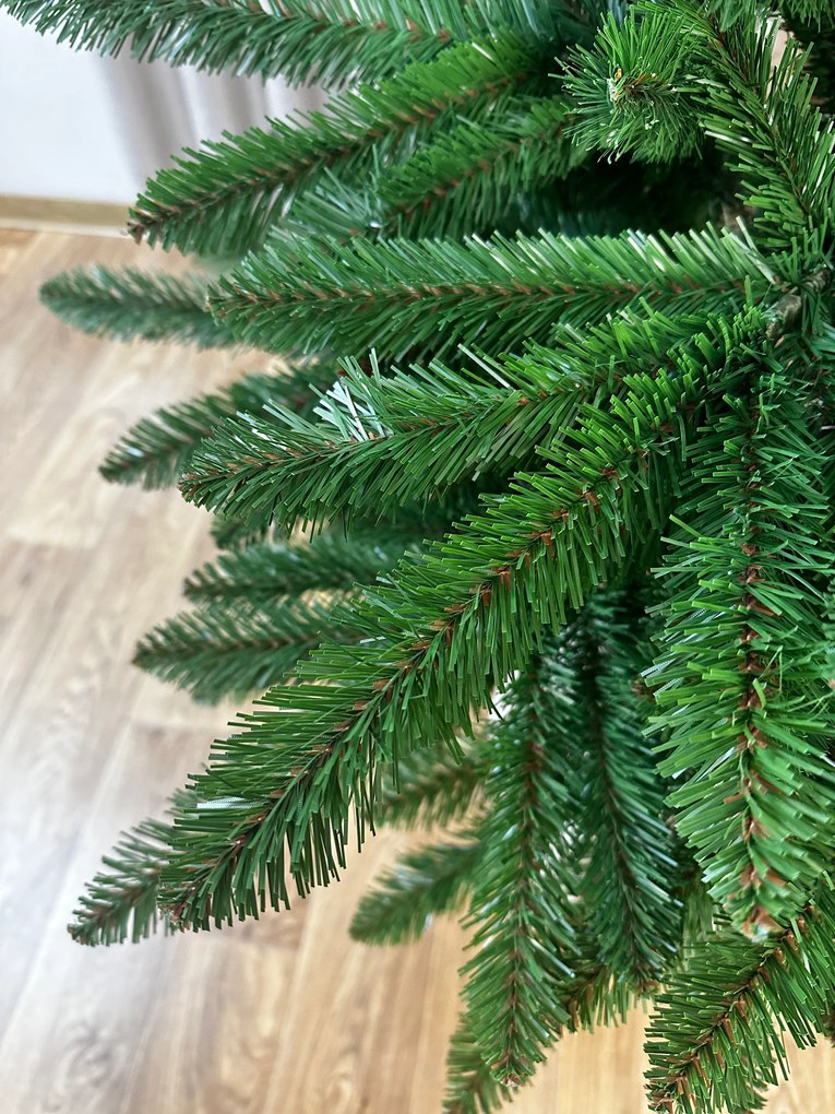 Jedľa Karpatská na pni 220cm