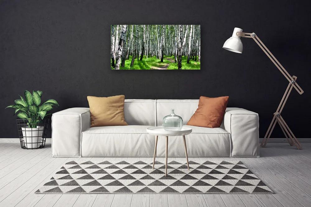 Obraz na plátne Stromy tráva príroda 120x60 cm