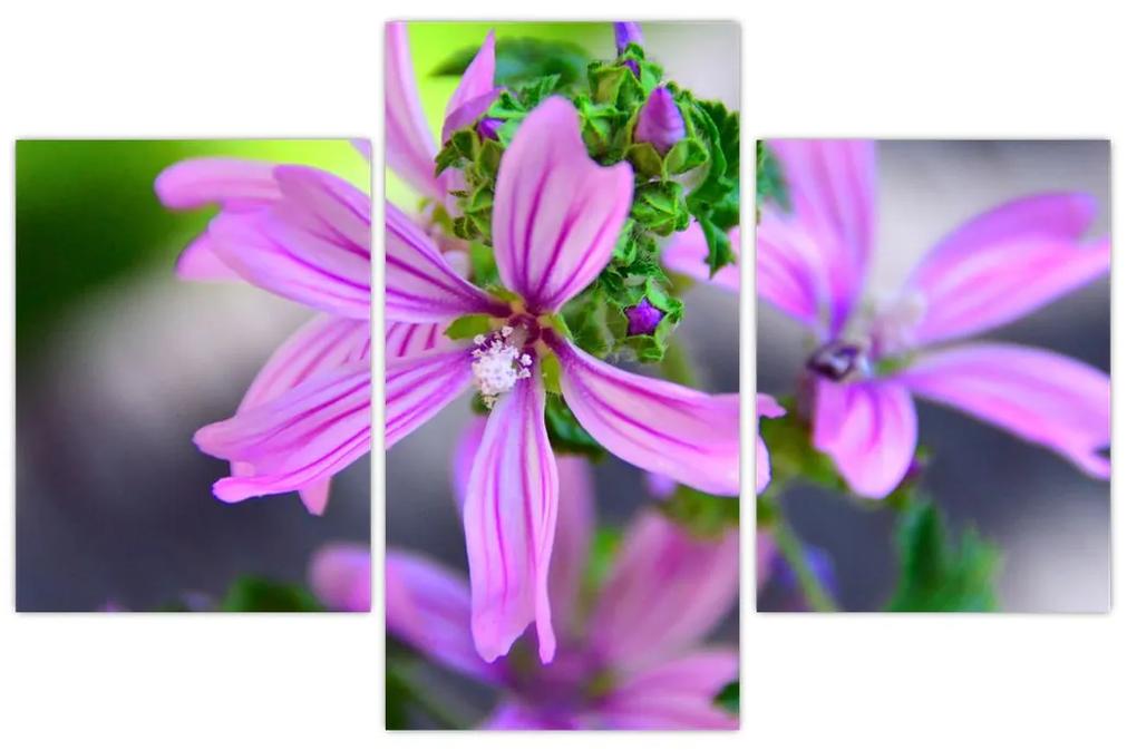 Detailný obraz kvetiny (90x60 cm)