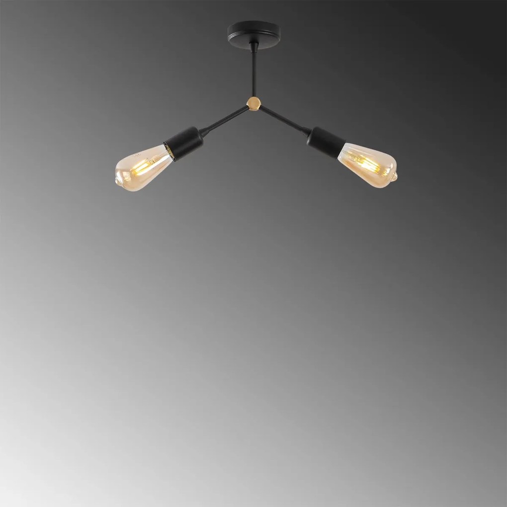 Stropní svítidlo SPARROW II černé