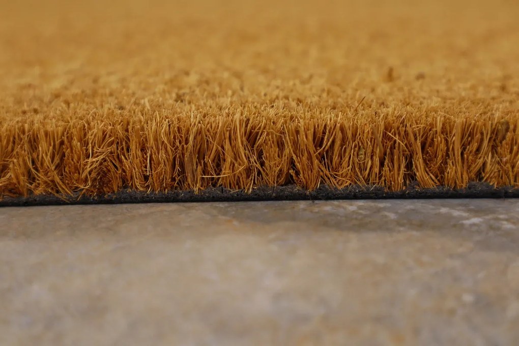 Rohožka Kokos Svieži vietor - na von aj na doma, 40x60, hnedá, chodba / predsieň, Trade Concept