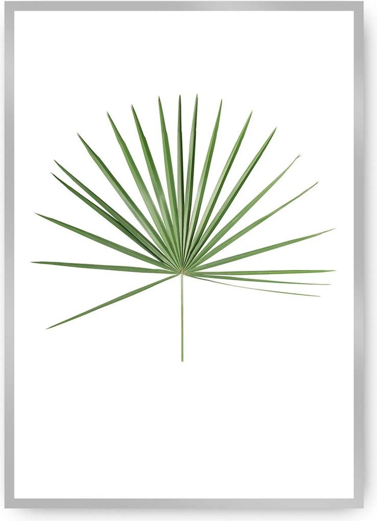 Plagát Tropical Leaf Green