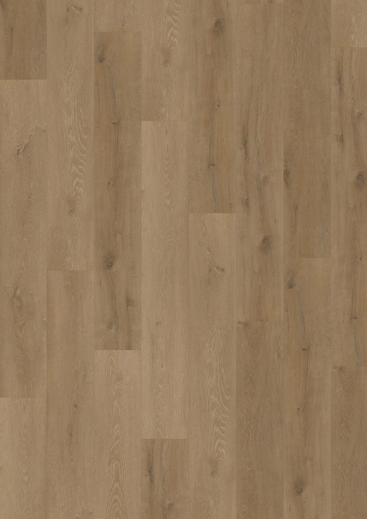 Oneflor, Vinylová podlaha lepená ECO 55 059 Prestige Oak Light Amber, 1219,2 x 184,1 mm