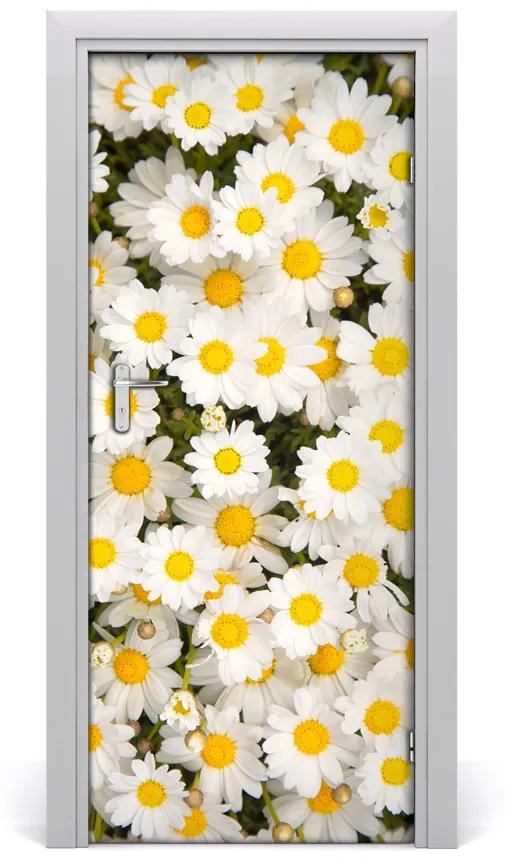 Fototapeta samolepiace kvety sedmokrásky 75x205 cm
