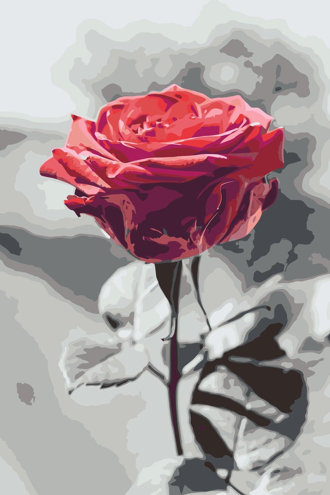 Gario Maľovanie podľa čísel Rozkvitnutá ruža Rozmery: 40 x 60 cm, Rámovanie: S vnútorným rámom