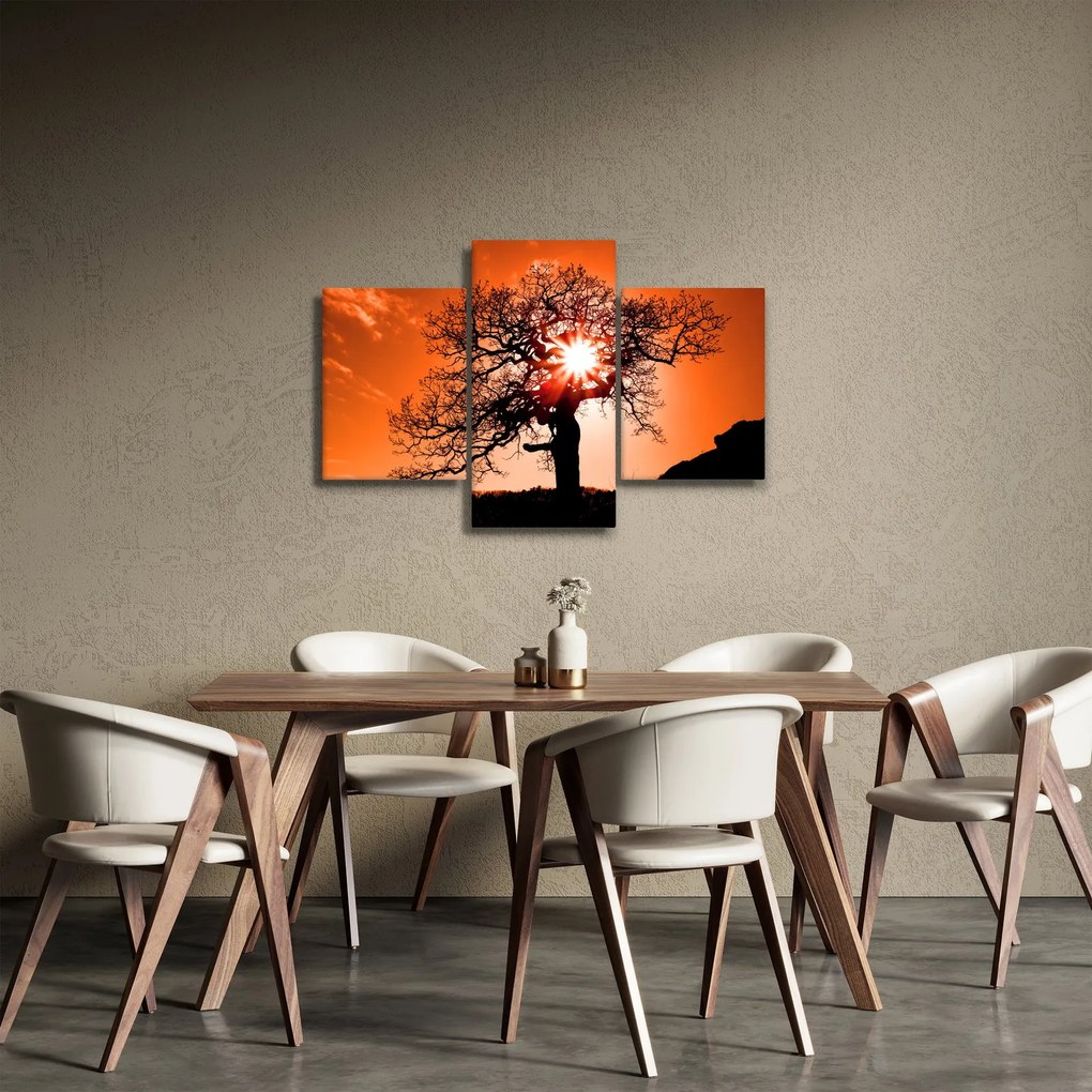Obraz - Dub pri západe slnka (90x60 cm)
