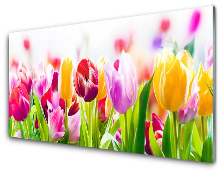 Obraz na skle Tulipány kvety 100x50cm