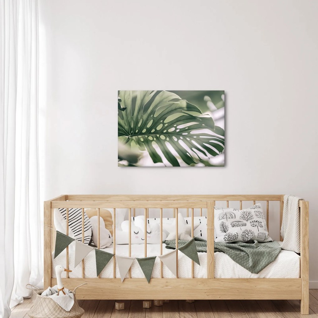 Obraz - List monštier (70x50 cm)