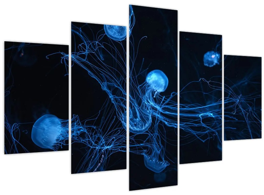 Obraz - Medúzy (150x105 cm)