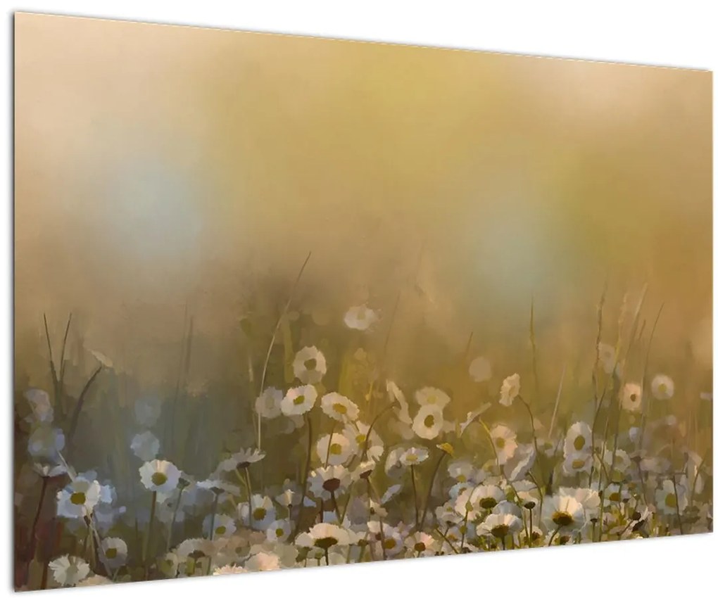 Obraz - Olejomaľba sedmokrások (90x60 cm)