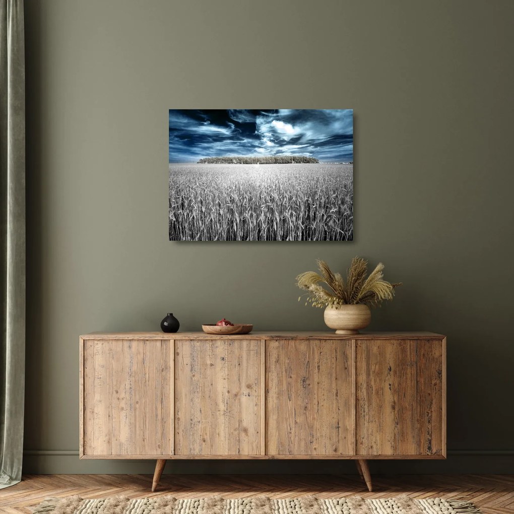 Sklenený obraz pole (70x50 cm)