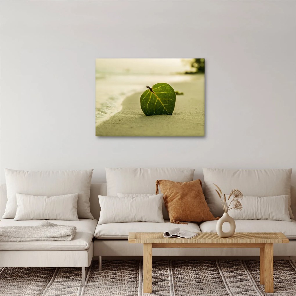 Obraz listu v piesku (70x50 cm)