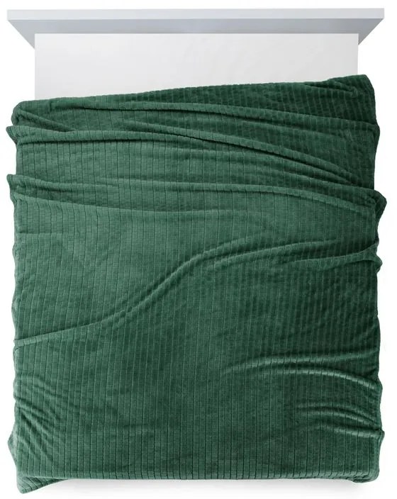 EUROFIRANY Nadýchaná a veľmi mäkká prikrývka z mikroflísu 170 cm x 210 cm tmavozelená 100 % polyester Varianta: 352563