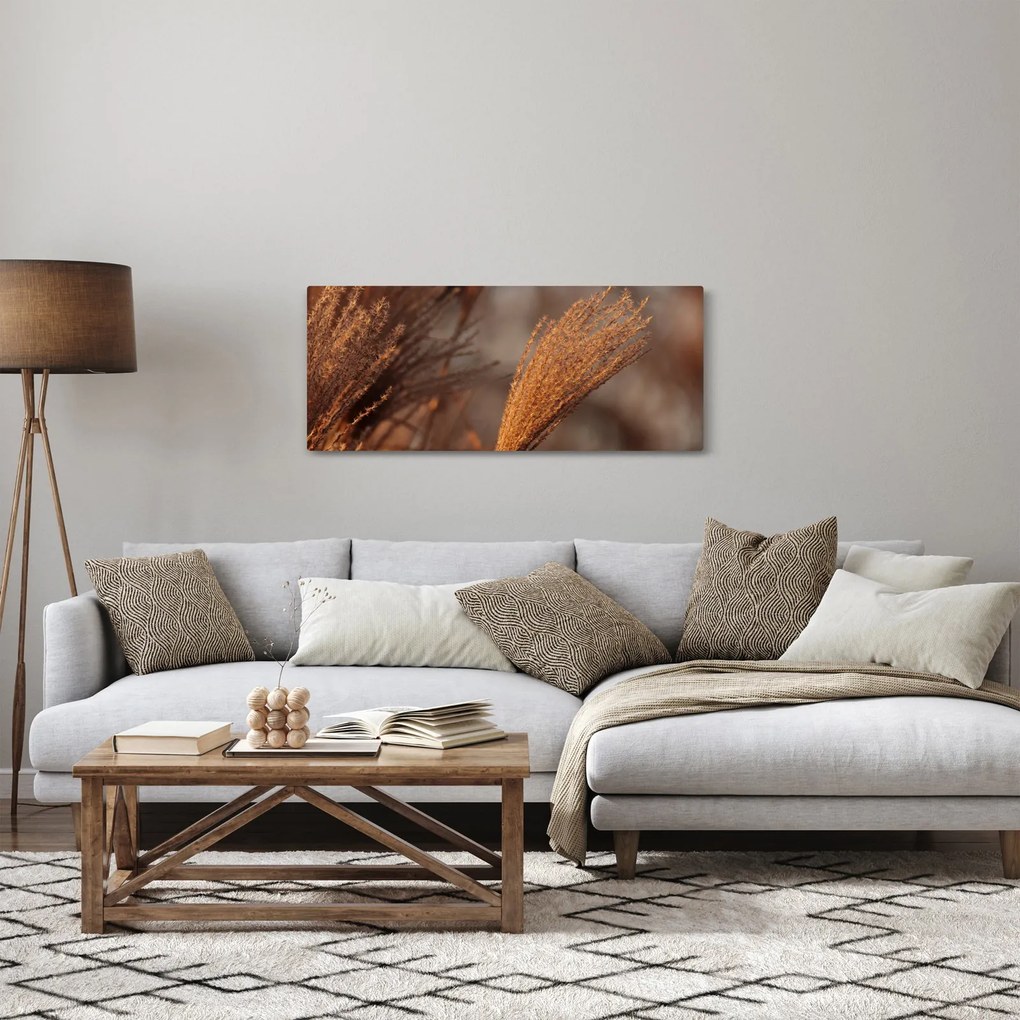 Obraz - Kortadéria (120x50 cm)
