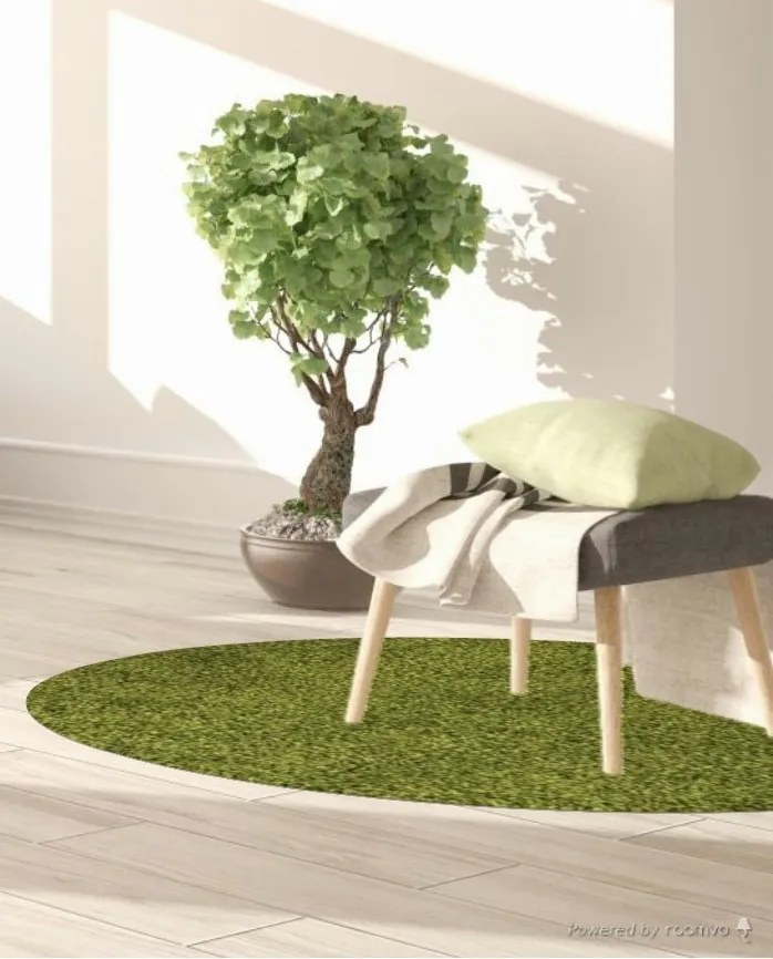 Kusový koberec Life Shaggy 1500 green kruh, 200x200 (priemer) kruh, zelená, spálňa, Ayyildiz