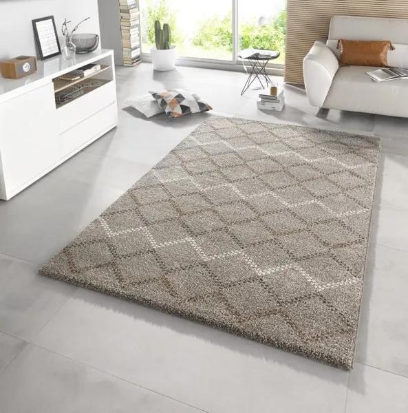 Mint Rugs - Hanse Home koberce AKCE: 160x230 cm Kusový koberec Eternal 102586 - 160x230 cm